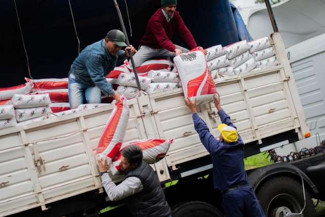 Apoyo a productores locales
